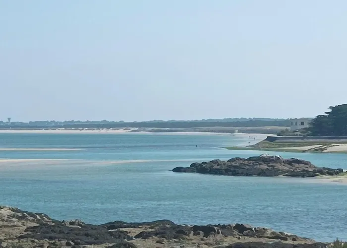 : Vue Mer, Animaux, Parking, 4 Couchages - Fr-1-843-18 شقة *